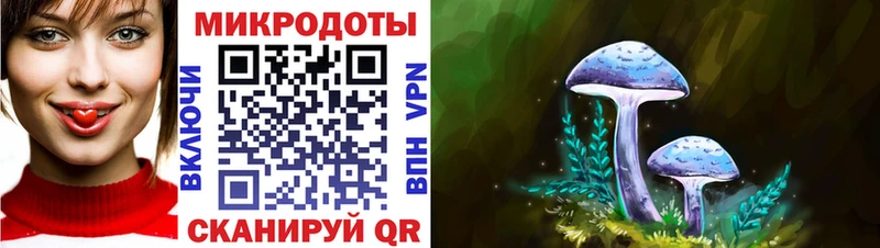 где найти Боровичи kraken tor Псилоцибиновые грибы Psilocybe